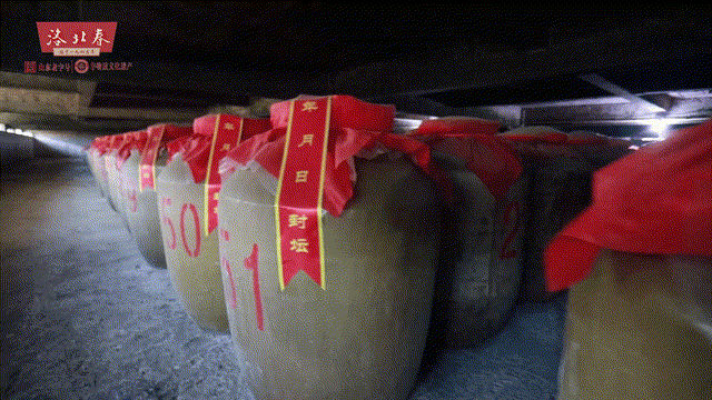 地下酒窖動態.gif